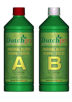 Dutch Pro Hydro/Coco A&B Bloom